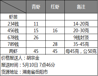 株洲小龍蝦價(jià)格行情揭秘，巷弄深處的秘密美食盛宴