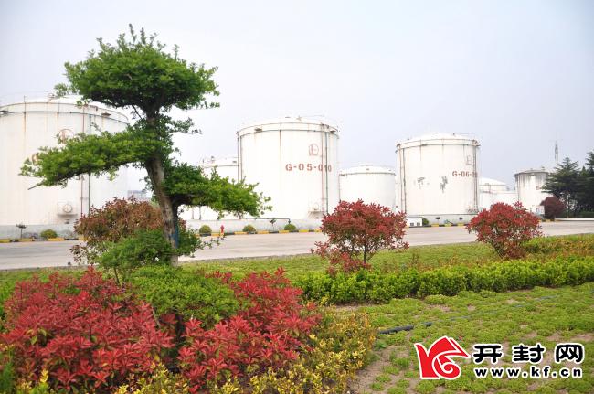 石化巨頭中石化邁向新征程的最新動態(tài)！