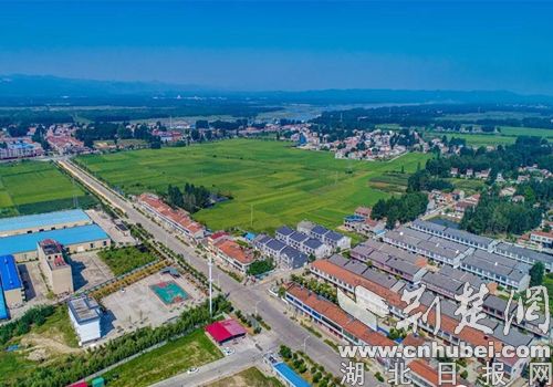 襄陽太平店鎮(zhèn)最新動態(tài)更新，鎮(zhèn)級最新發(fā)展概況
