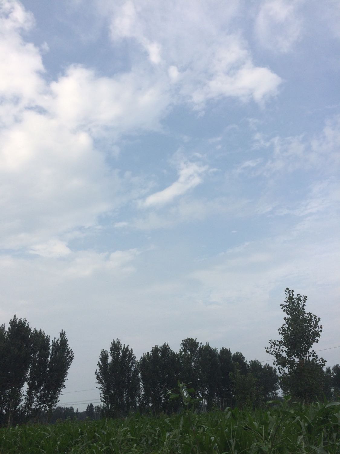 辛集最新天氣預(yù)報(bào)，多變陽(yáng)光照亮學(xué)習(xí)之路