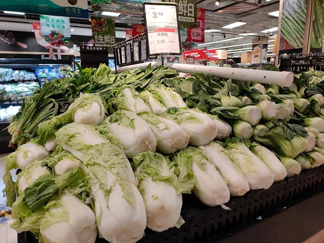 白菜批發(fā)市場價格動態(tài)，自然美景背后的市場波動與旅行體驗之旅