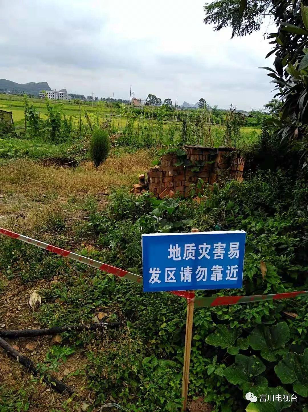 星空下的溫馨日常，天嚕啦最新精選分享