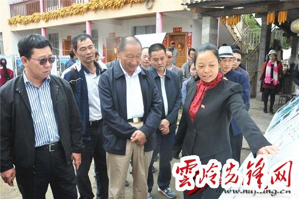 云南羅正富最新動態(tài)概覽，最新指南與進展