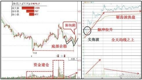 002506行情走勢(shì)深度分析與論述