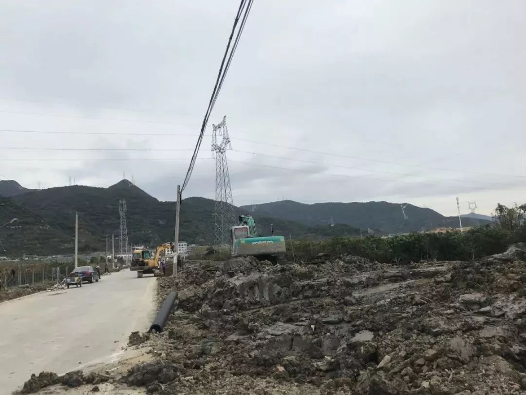 路橋區(qū)副區(qū)長任命動態(tài)揭秘，探尋小巷深處的獨特風味