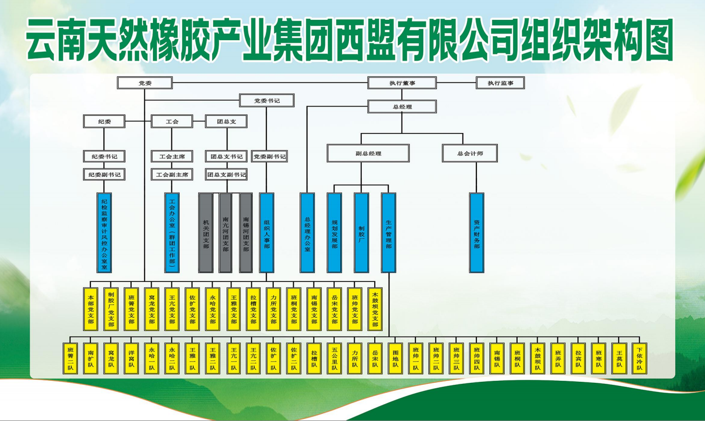 云南天然橡膠最新價(jià)格，探索橡膠產(chǎn)業(yè)背后的溫情故事