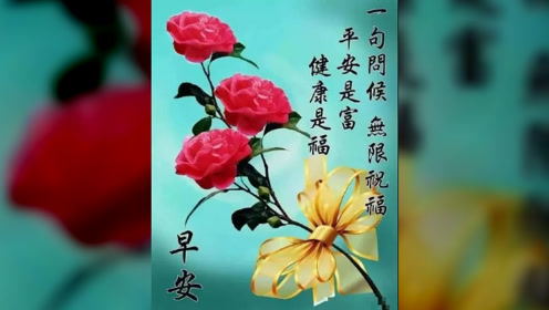 清晨寄語，巷弄深處的獨(dú)特味道，喚醒心靈的力量