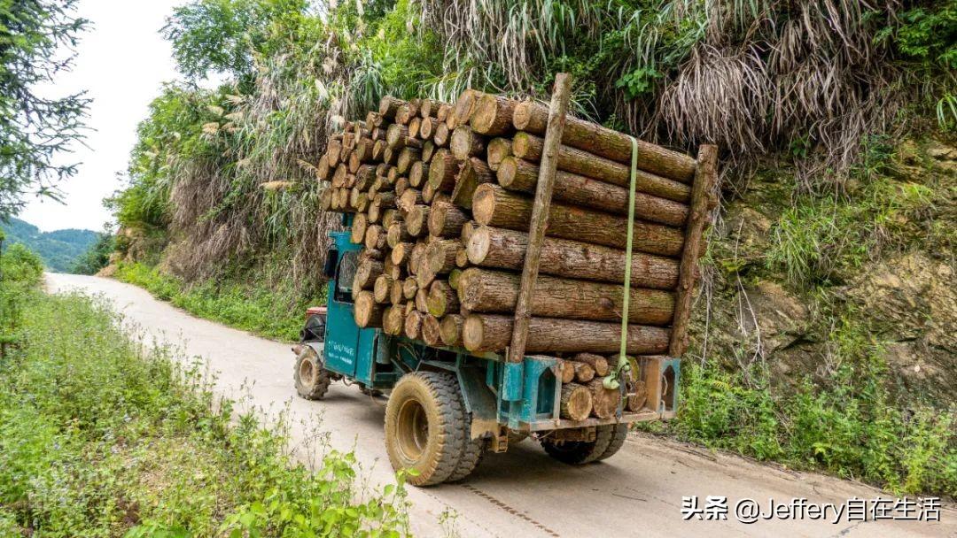梅子鎮(zhèn)，自然美景的探索之旅，尋找內(nèi)心的平和與喜悅